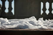 Ipe in the snow